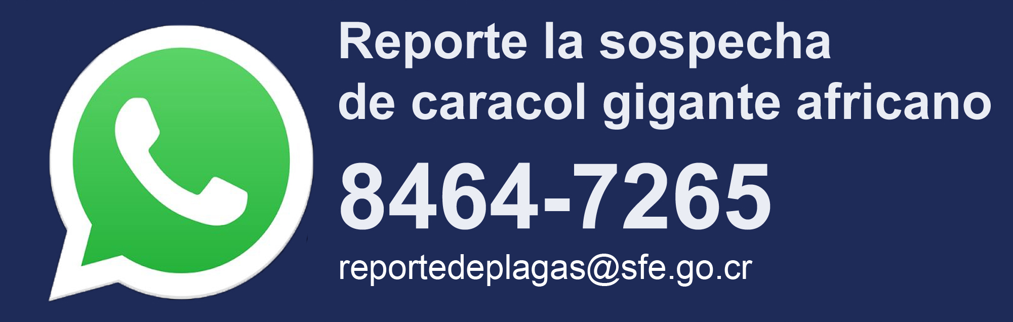 ReporteWebCaracol.jpg